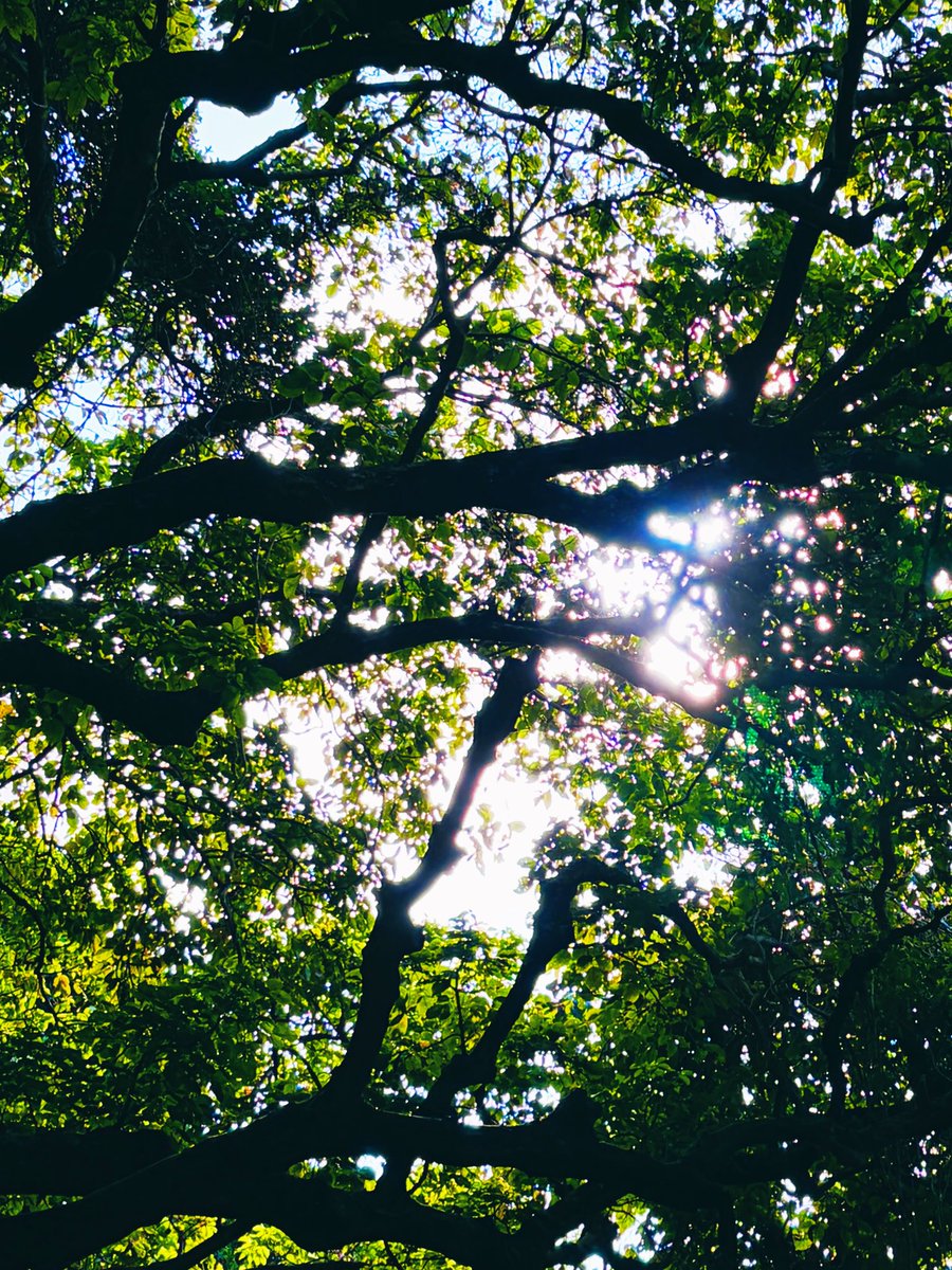 楽しそうな笑い声が聞こえる
スポーツを楽しむ諸先輩方だった

笑い声が聞こえなくなるような
そんな世の中になりませんよう🙏

おはこんにちは沖縄🙋‍♀️🙋‍♂️