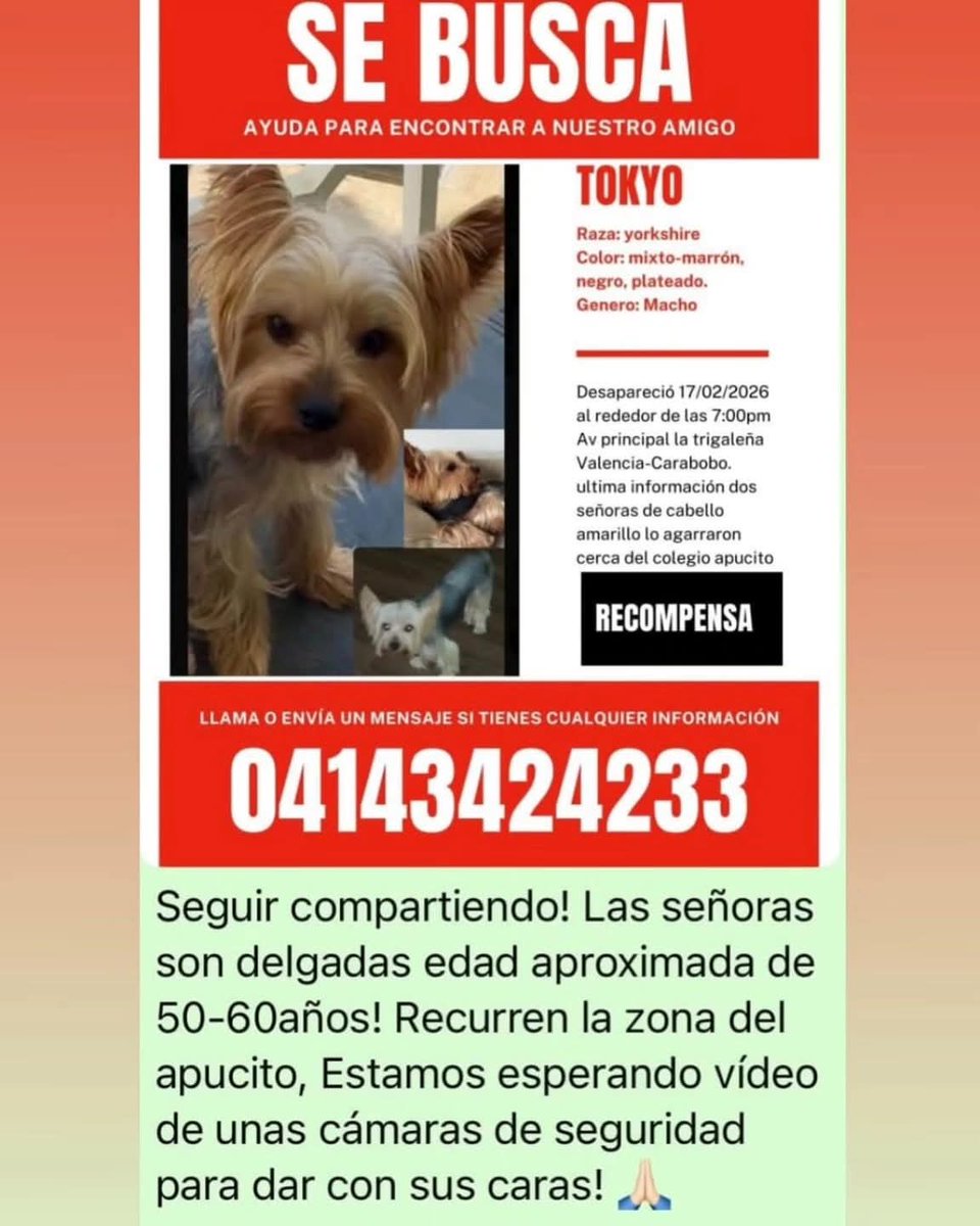 Se busca a Tokyo en La Trigaleña, Valencia estado Carabobo
