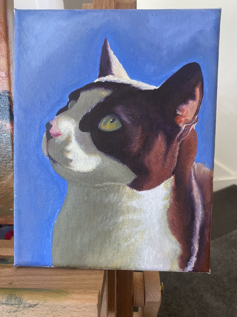 ⤷ ゛Rott 🦖🌿 ˎˊ˗ tweet media