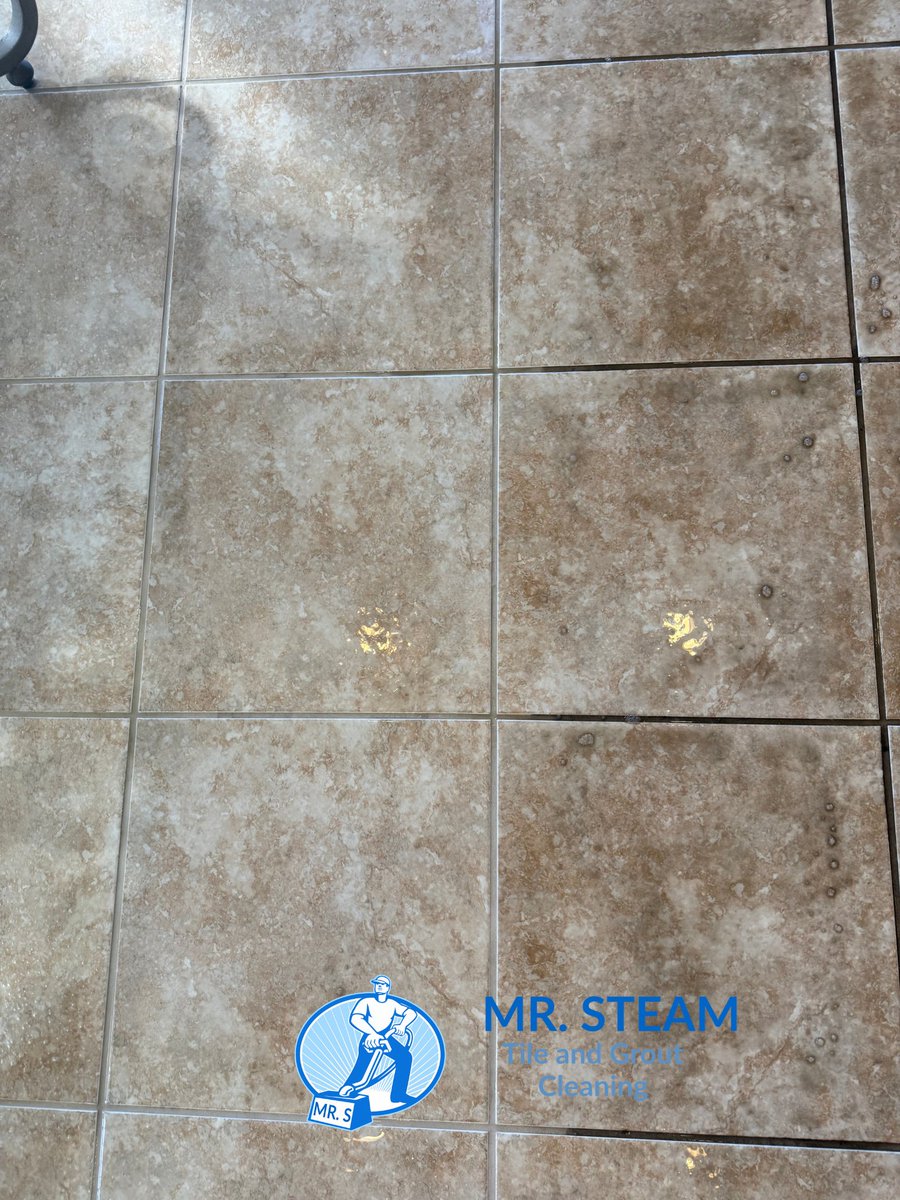 Mr. Steam - Tile & Grout cleaning (@MrSteamTile) / Posts / X