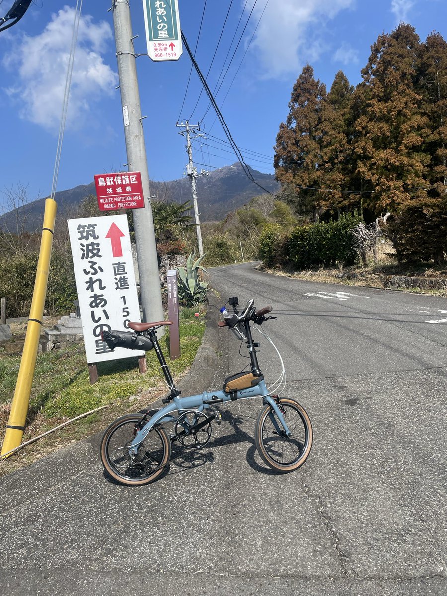 ＣＡＴ３０８ tweet media