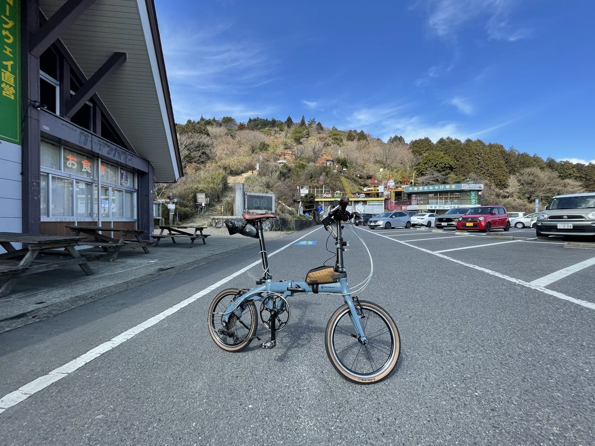 ＣＡＴ３０８ tweet media