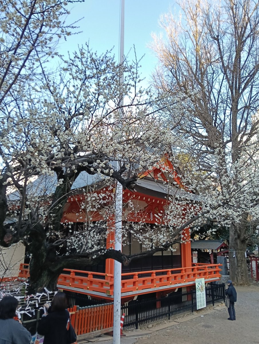OurinUranai's tweet photo. 花粉の季節🌼
占いだけでは難しいですが
コロコロとウエットシートで意外と変わりますね。
占いブースもウエットで清掃済です🧹気兼ね無くお越しください⭐️

3月鑑定予定
3/8・3/14・3/22・3/28

ルルドの部屋国分寺
※漢字表記ででています。

#占い 
#国分寺 
#恋愛  
#鑑定 
#仕事 
#セレオ国分寺 https://t.co/lWrb7h61oQ