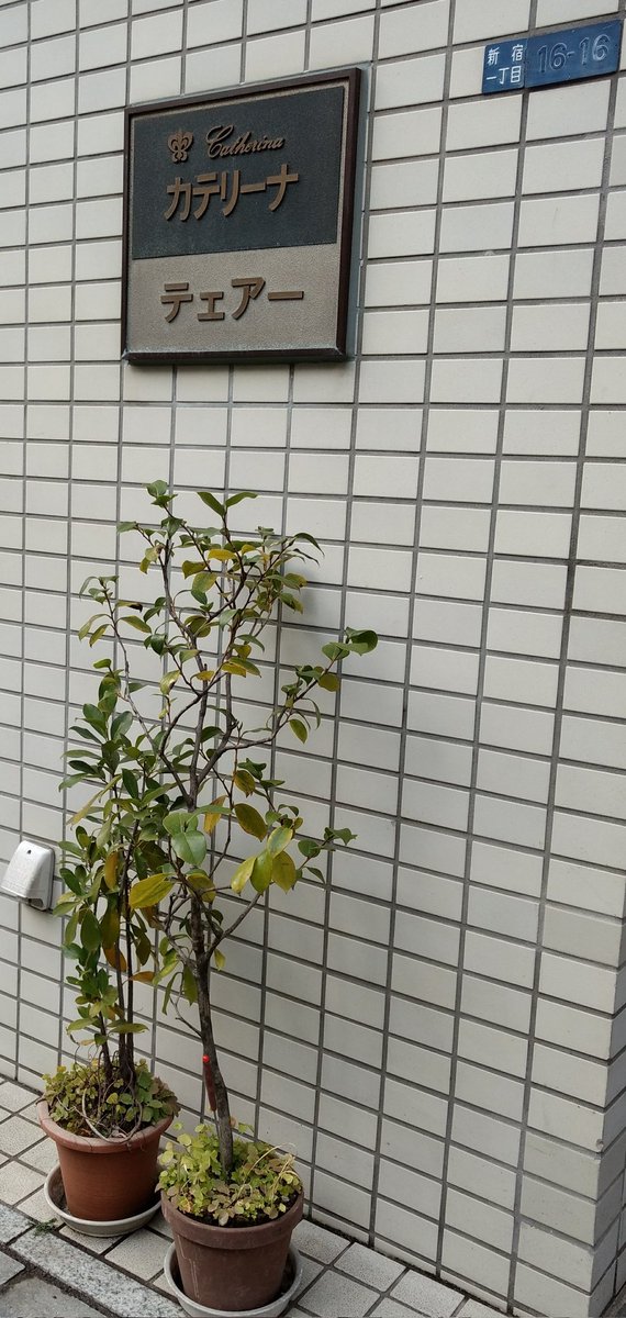 読めない、というか発音できない