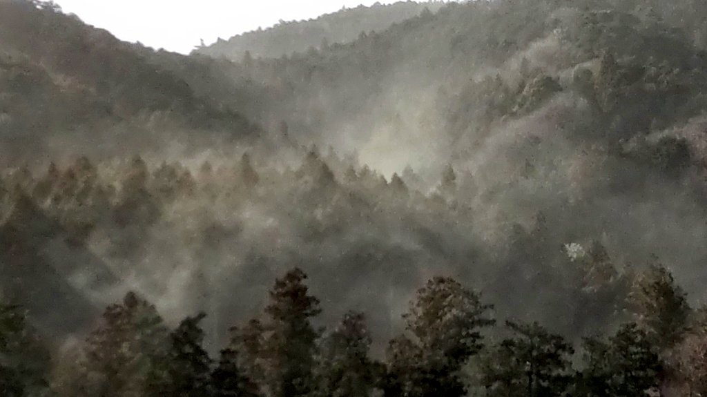 Ichikawa Tamotsu tweet media