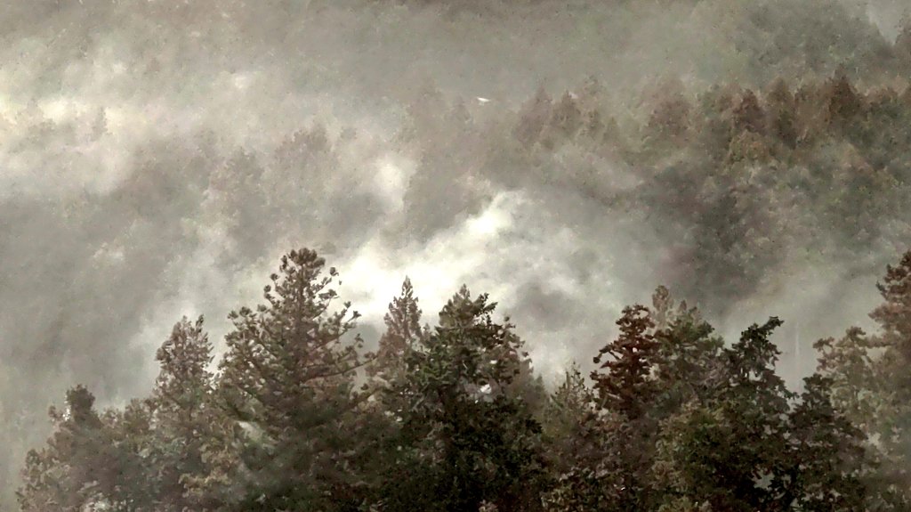 Ichikawa Tamotsu tweet media