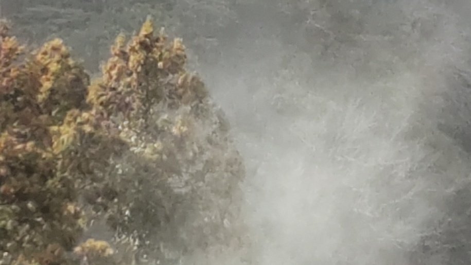 Ichikawa Tamotsu tweet media