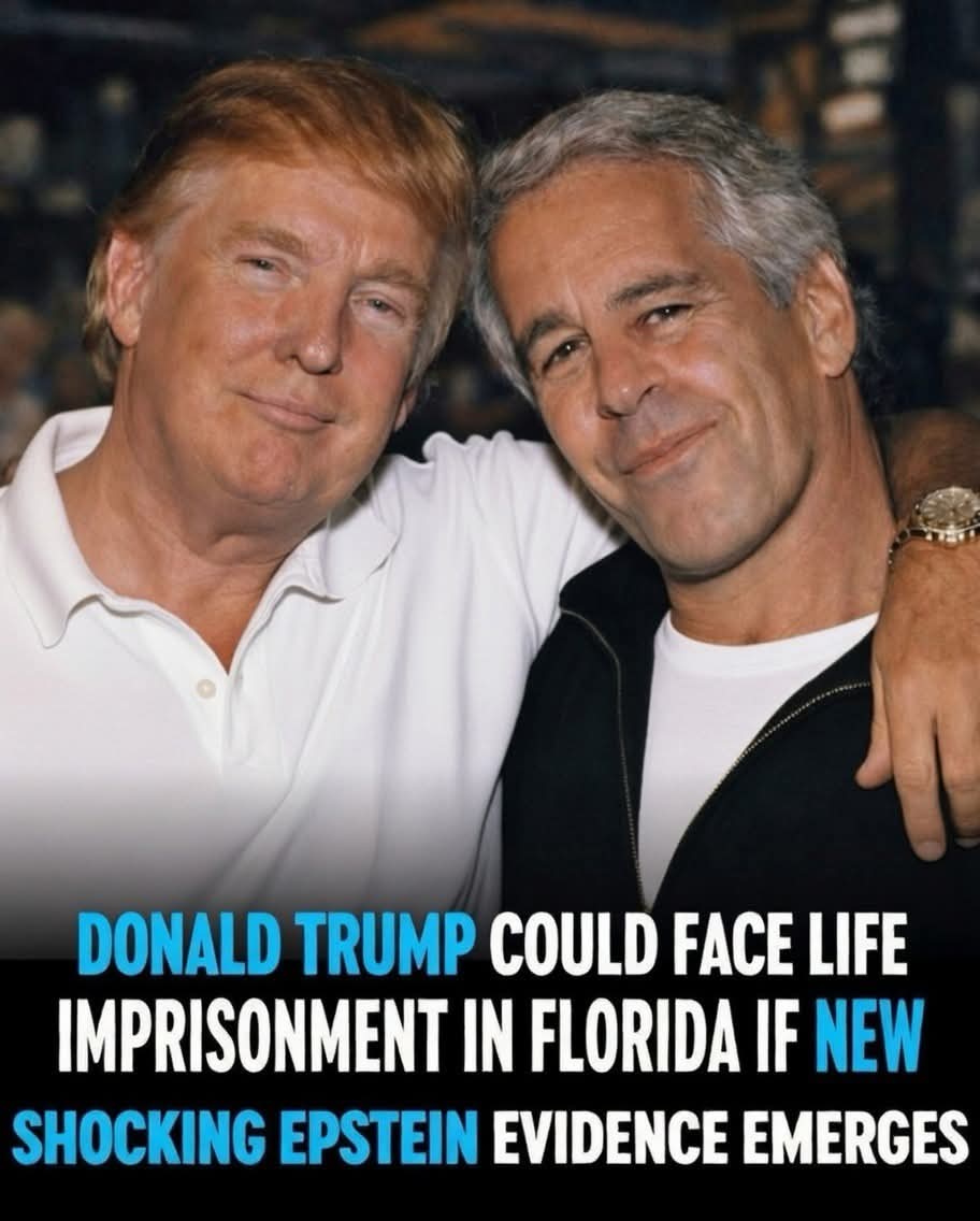 cindikg161's tweet photo. Life in Florida,  sounds good to https://t.co/a0sAgZoHYv