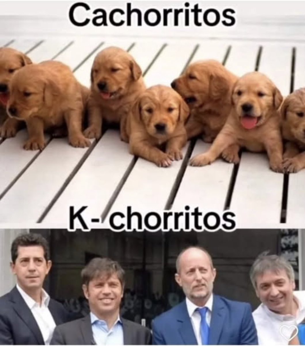 mateohartz (@mateohartz) on Twitter photo 