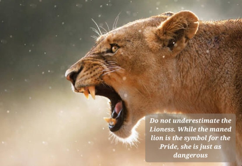 Morgan R.R. Haze tweet media