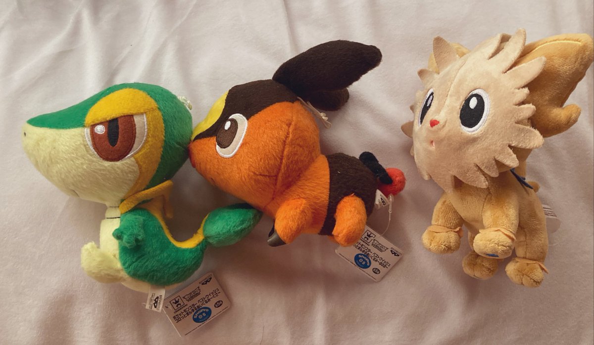 ベストウィッシュが放映されてた時期のぬいらしくイッシュ御三家も