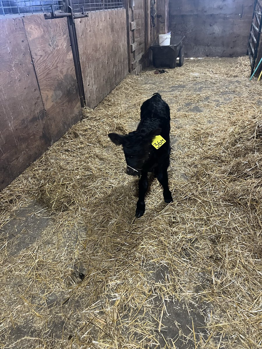 Wayne Wooff tweet media