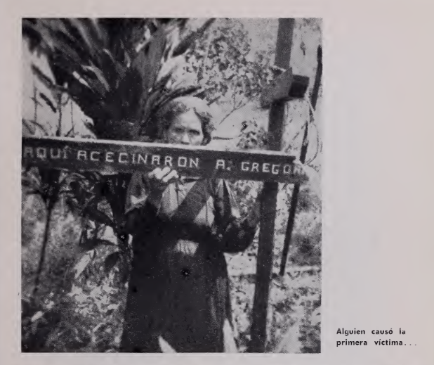 Martin't tweet media