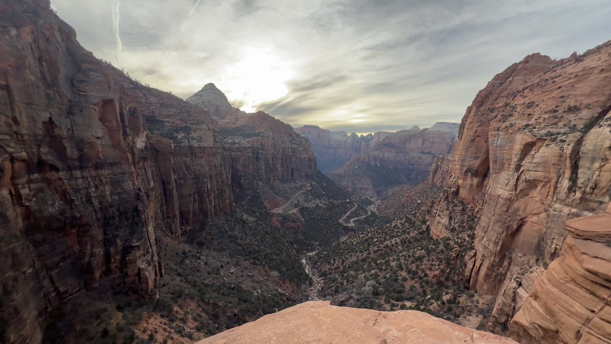 dalee^,^ tweet media