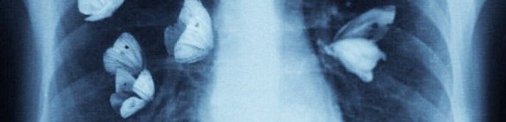 مـــــــهـMahaـا tweet media