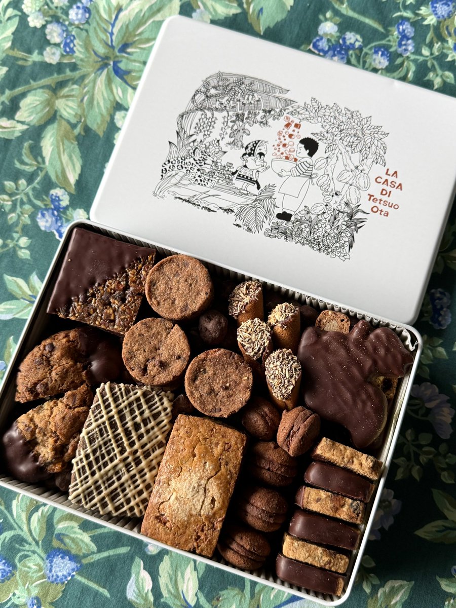 アマゾンカカオ スーパーデラックスアマゾンカンカン2026 今年の冬を