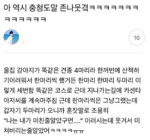 싱글벙글 충청도 사투리