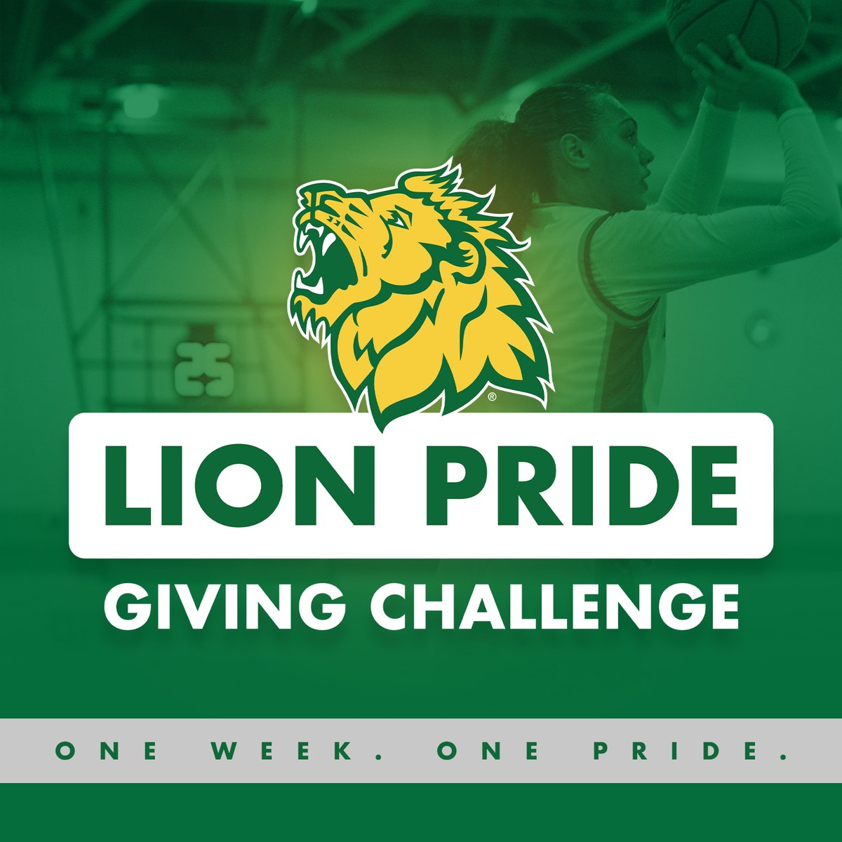 MSSU Women’s Basketball tweet media