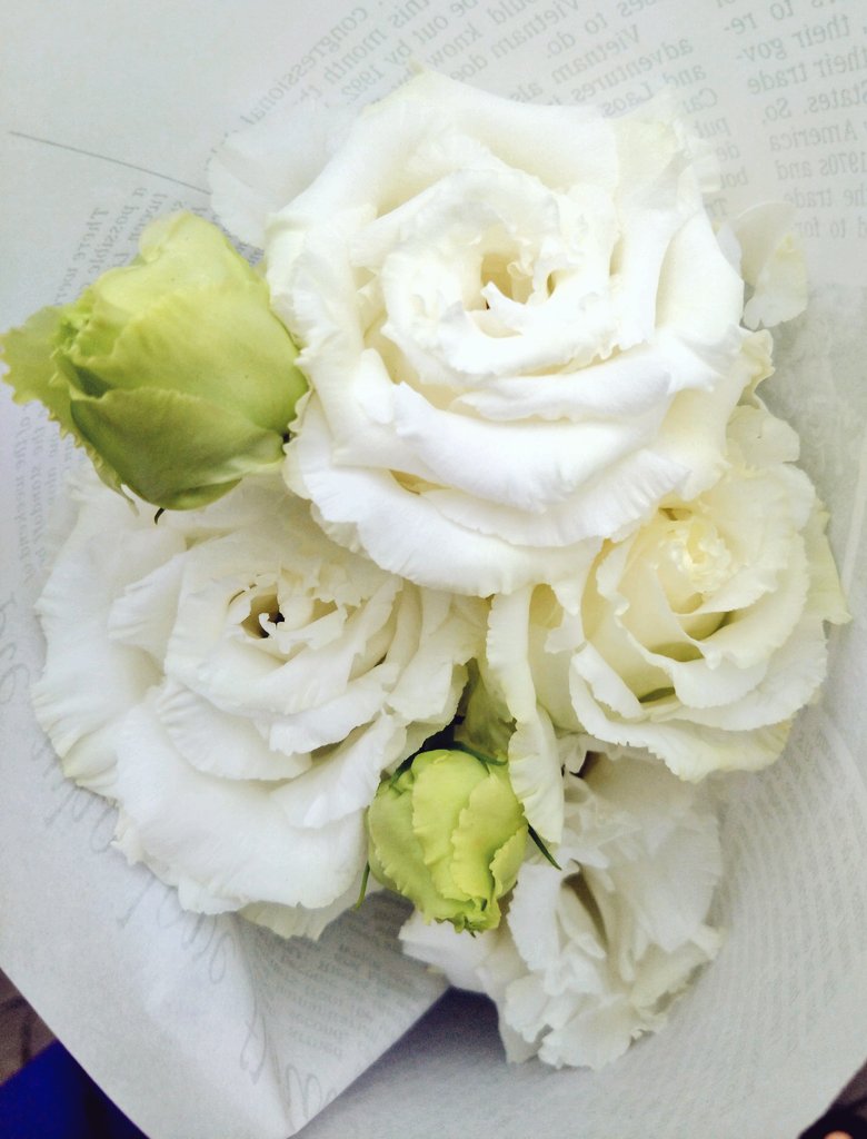 今日のワークショップは皆さんでトルコキキョウを描きましょう