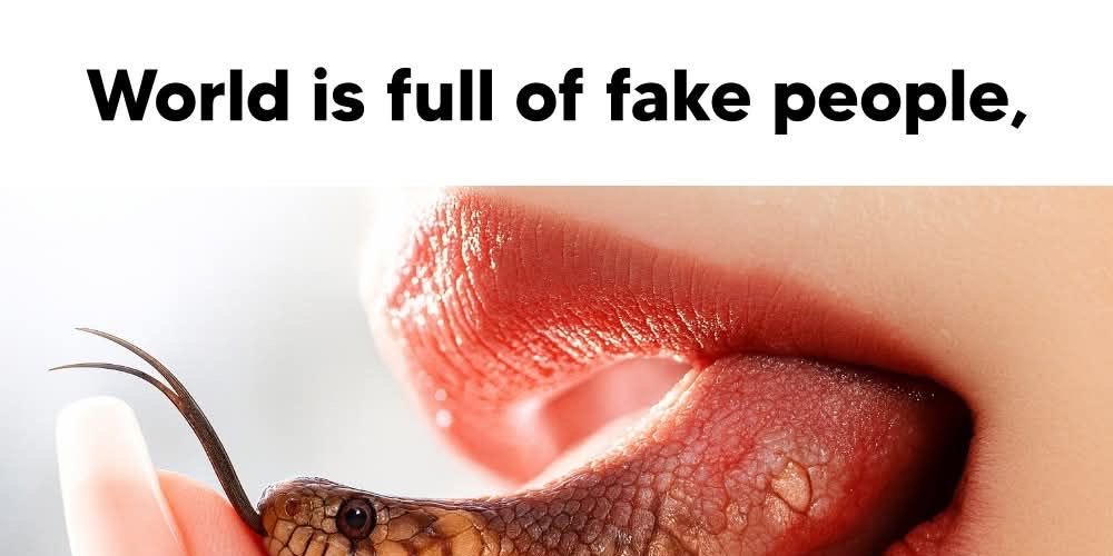 Nor_1_11's tweet photo. Trust no one