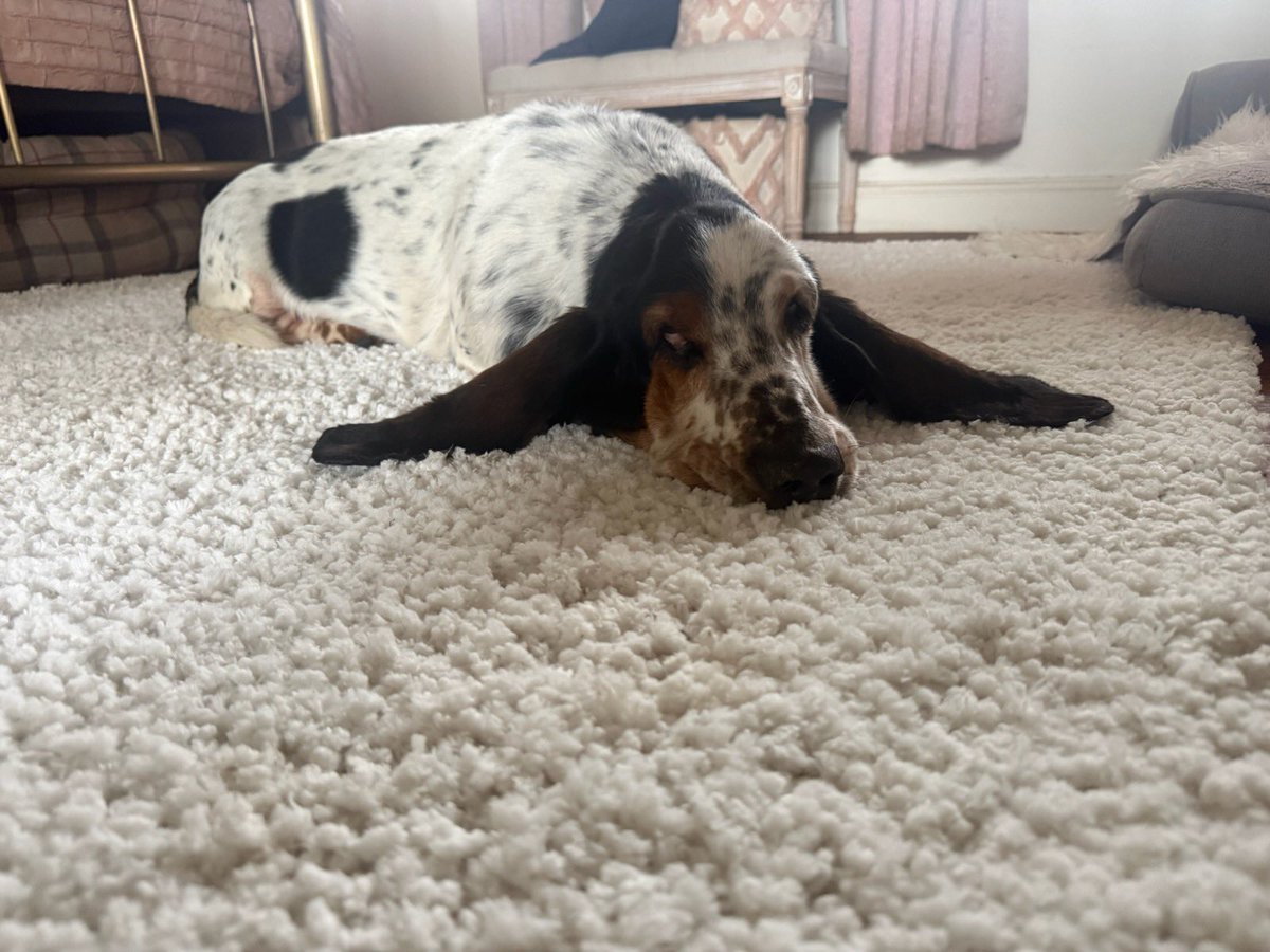 Phil Sledge tweet media