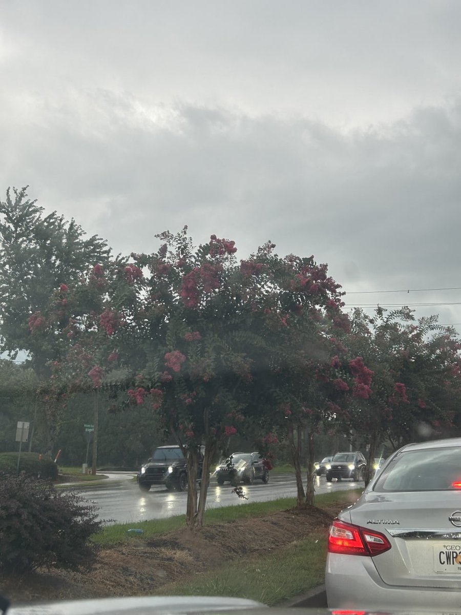 millie.grey tweet media