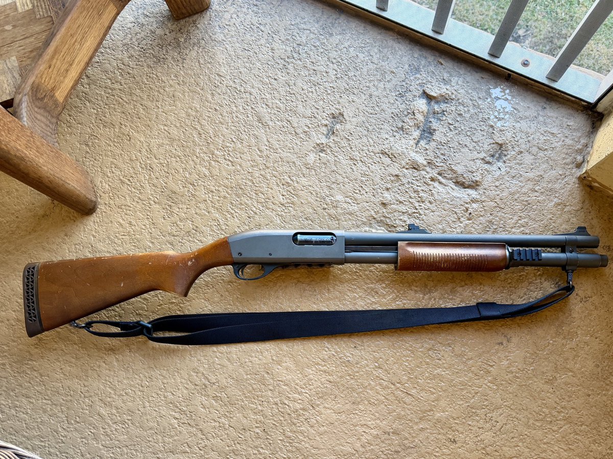 Saged Civilian tweet media