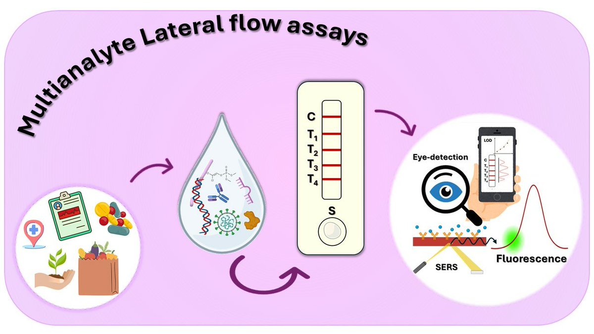 Biosensors_MDPI's tweet photo. 📣Call for Reading:

#Review
Beyond Traditional Lateral Flow Assays: Enhancing Performance Through Multianalytical Strategies

by Eleni Lamprou et al.

https://t.co/xSxhyL0zbY

#LateralFlowAssay #LFA #rapidtest #POCT
#biosensors #mdpi #openaccess https://t.co/mf2gVkd5DV