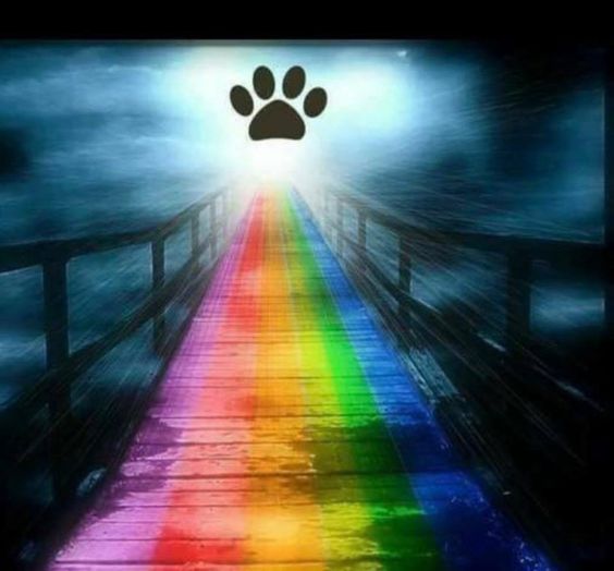 Hemi♥AcE♥ Out and In. tweet media