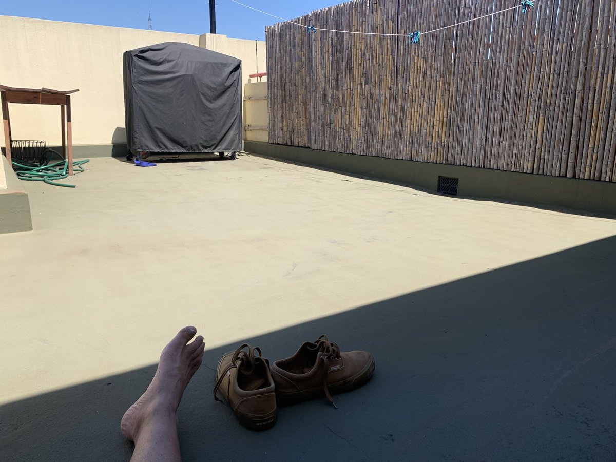 Toro.sarm tweet media