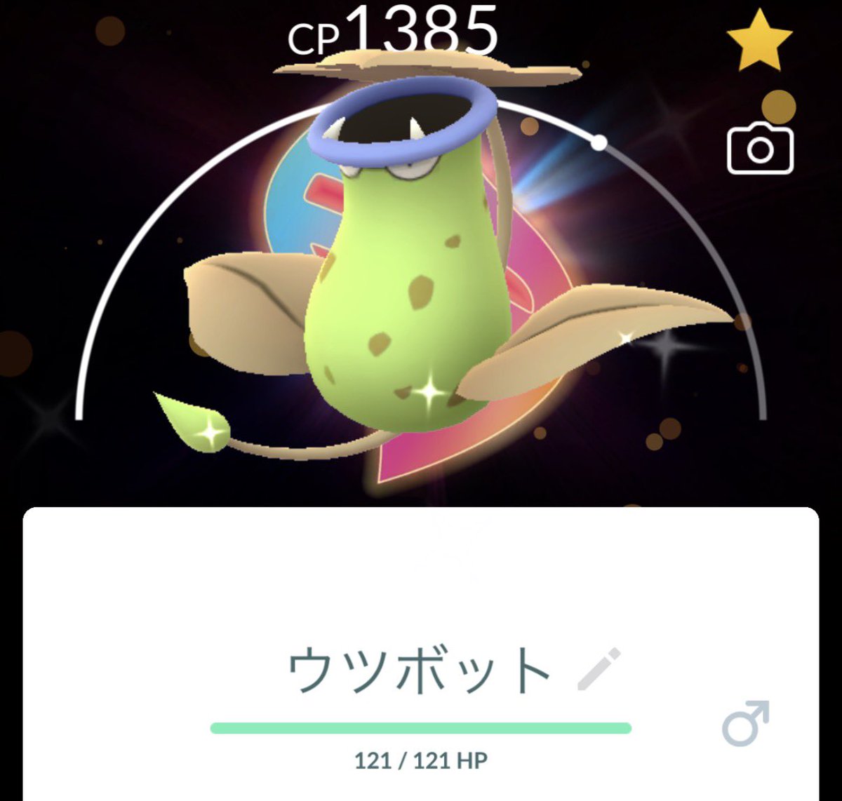 favo__0's tweet photo. 色違いに個体値良し､背景付きとボーナスが過ぎる
#ポケモンGO https://t.co/2bIqjl7uvI