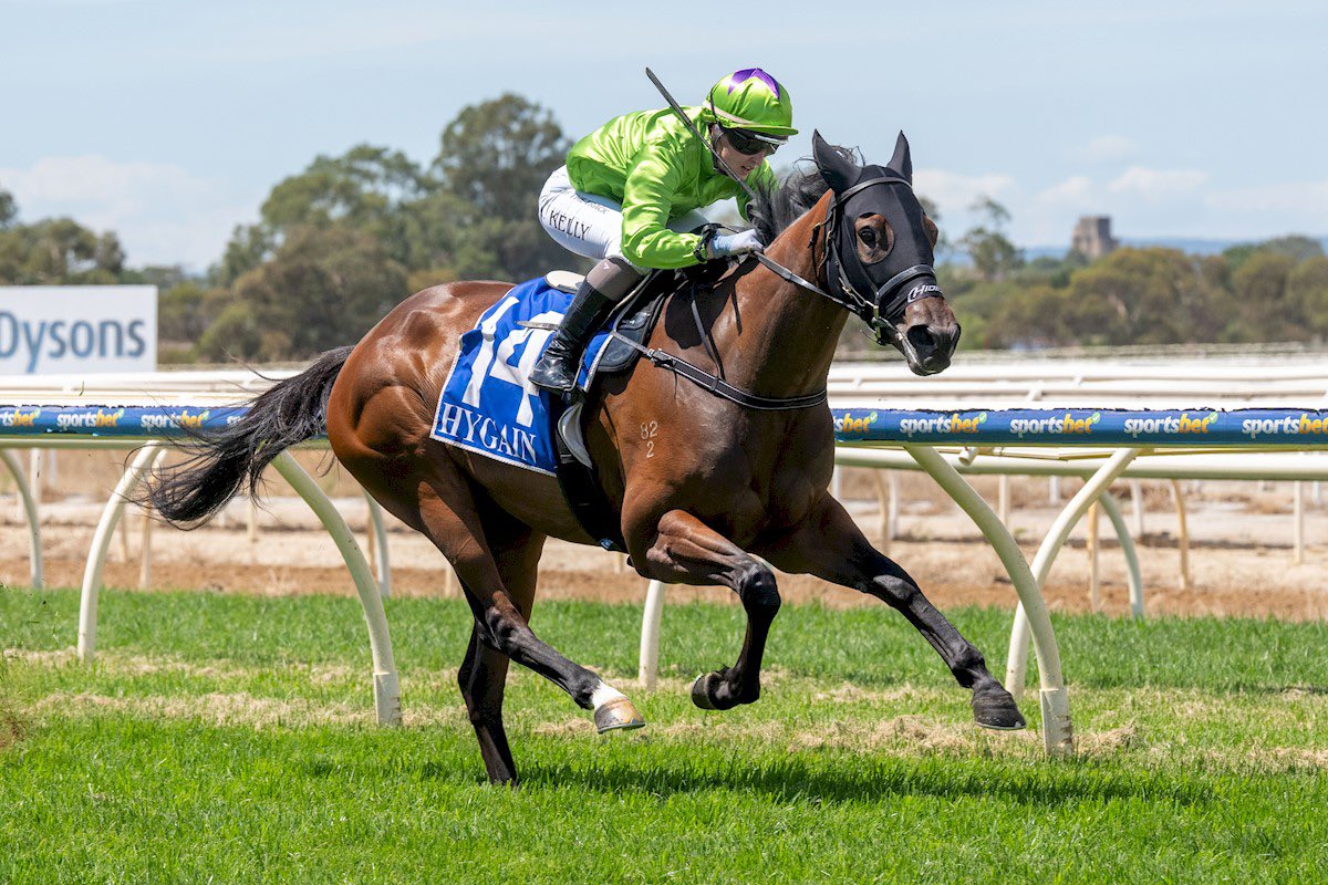 Liam Howley Racing tweet media