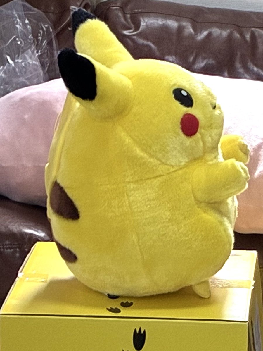 初期ピカチュウ届いた！！やばい！！かわいすぎる！！おおきい