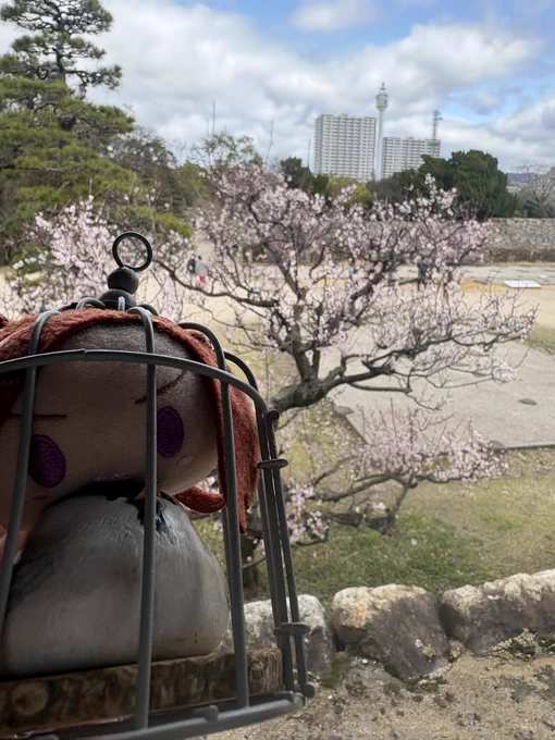 おおおお!!! 春の息吹を感じますよ!!!