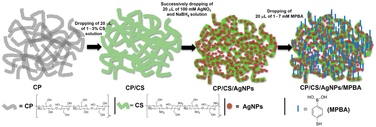 Biosensors_MDPI's tweet photo. 📣Call for Reading:
#Article
A New Chitosan-Modified Paper-Based SERS Glucose Sensor with Enhanced Reproducibility, Stability, and Sensitivity for Non-Enzymatic Label-Free Detection
by Rashida Akter et al.
https://t.co/wT3s2yG2VX
#chitosan #SERS #Glucose
#biosensors #mdpi https://t.co/7szjJGNUcx