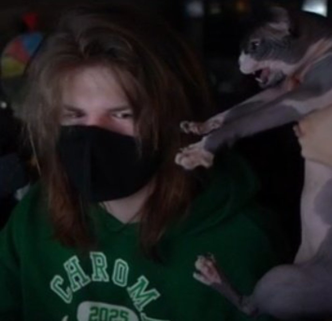 editorboo tweet media