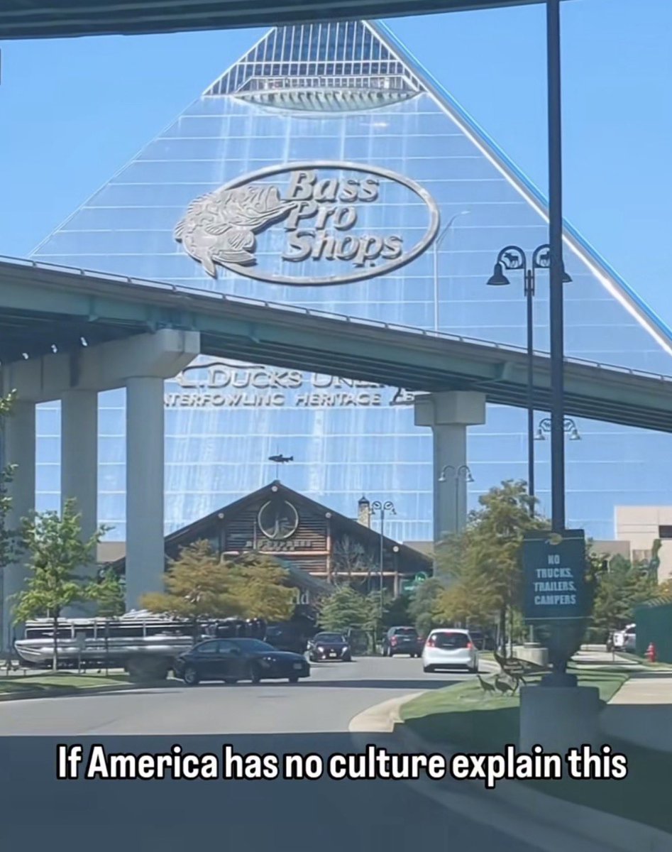 Rothmus 🏴 tweet media