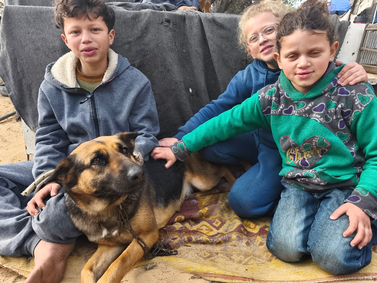 Khaled Ashraf tweet media