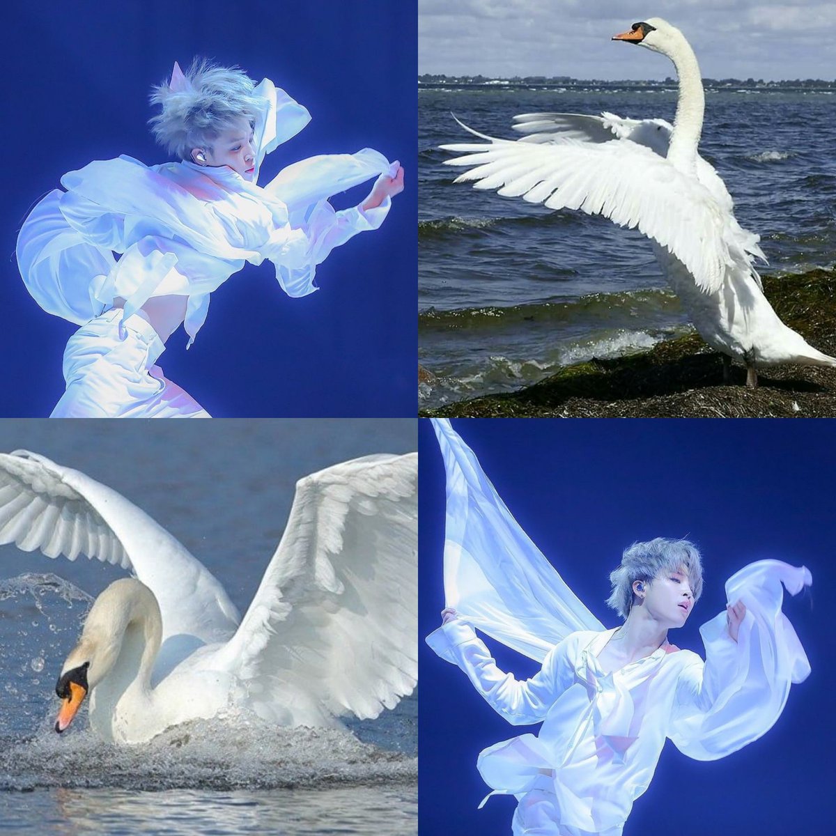 Is Jimin blonde? tweet media