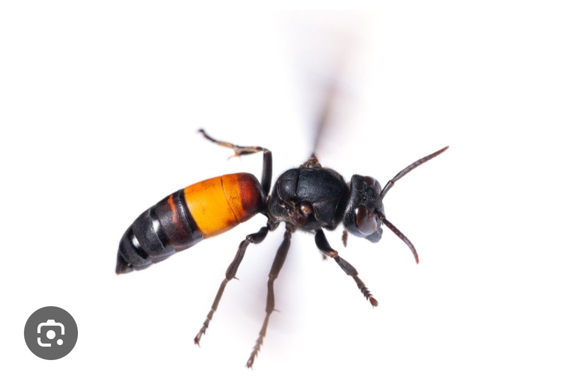 Bardan - Digital Marketer tweet media