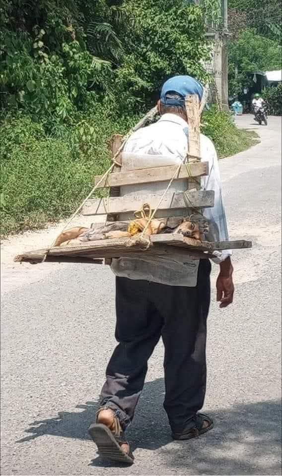 Guadalupe Ramirez tweet media