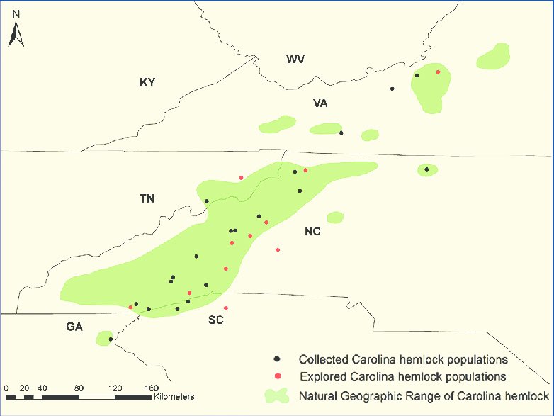 Buffalo Dan tweet media