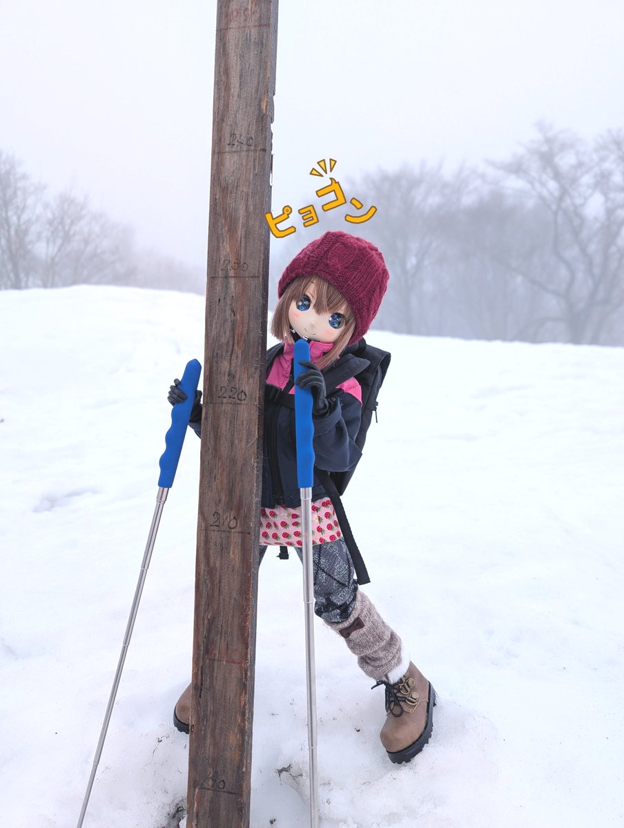 りんごちゃん🍎 (@DollAppleChan) / Posts / X