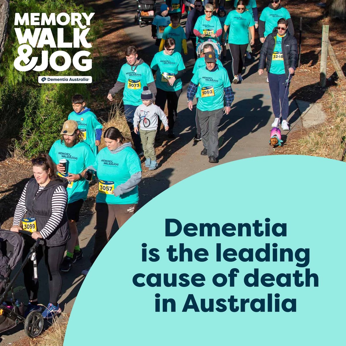 Councillor Steven Rypp tweet media