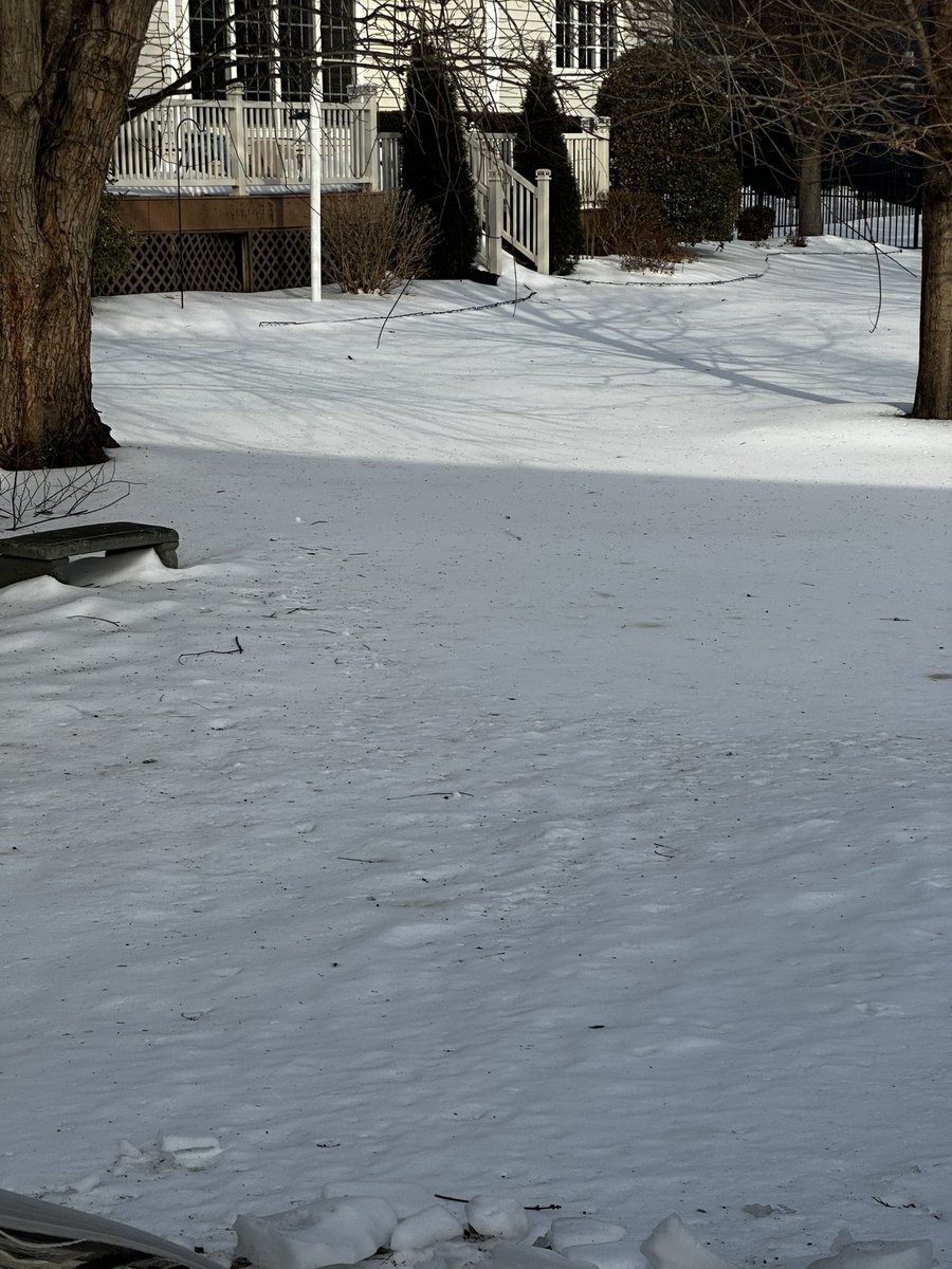 TheyAnnaMae's tweet photo. Snow from the other week. https://t.co/NiEBhChn9T