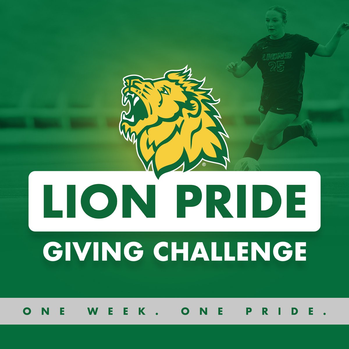 MOSO Soccer tweet media