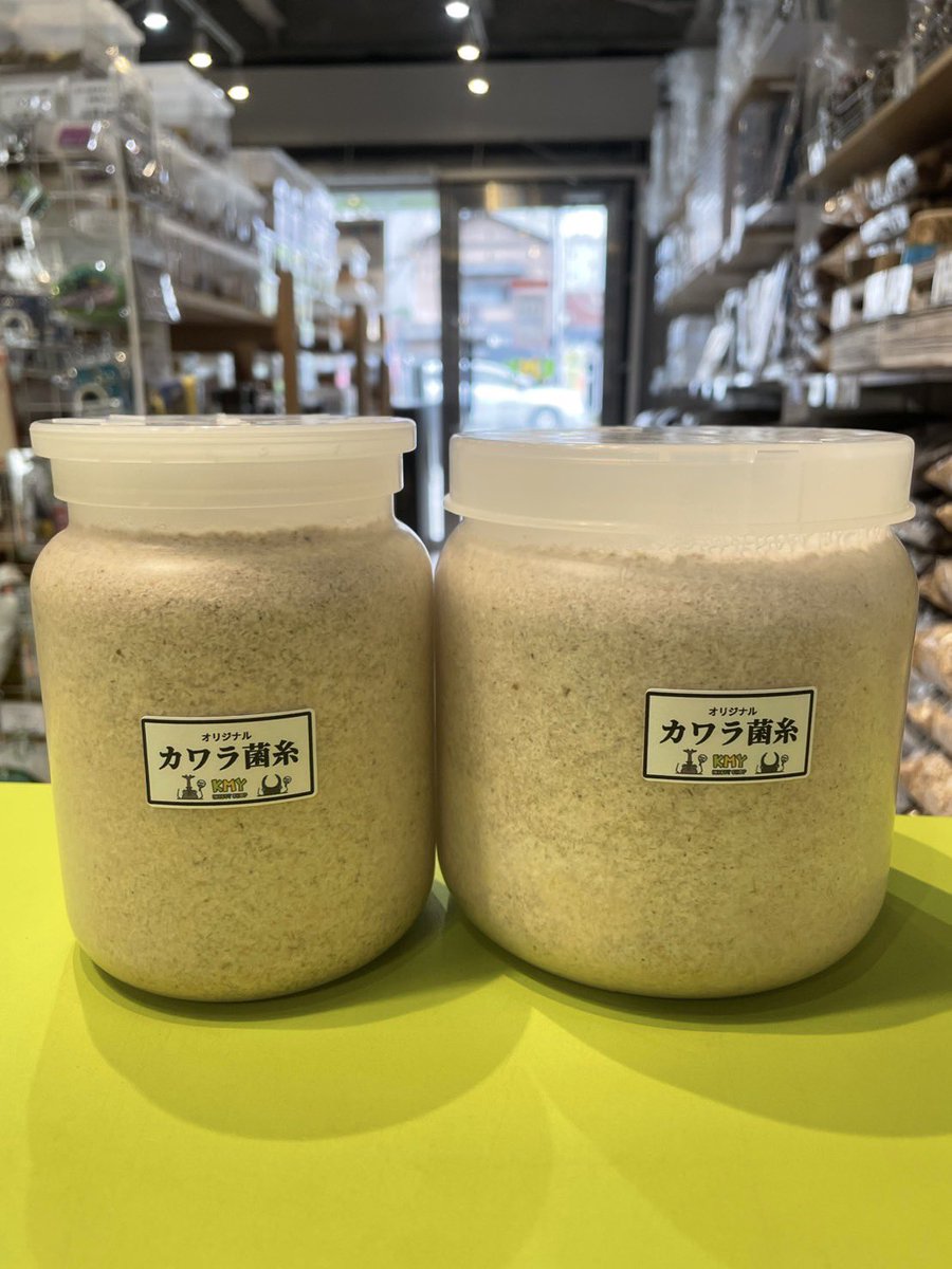 🍀入荷情報🍀 カワラ菌糸 入荷しております！！ 本日11:00〜20:00まで