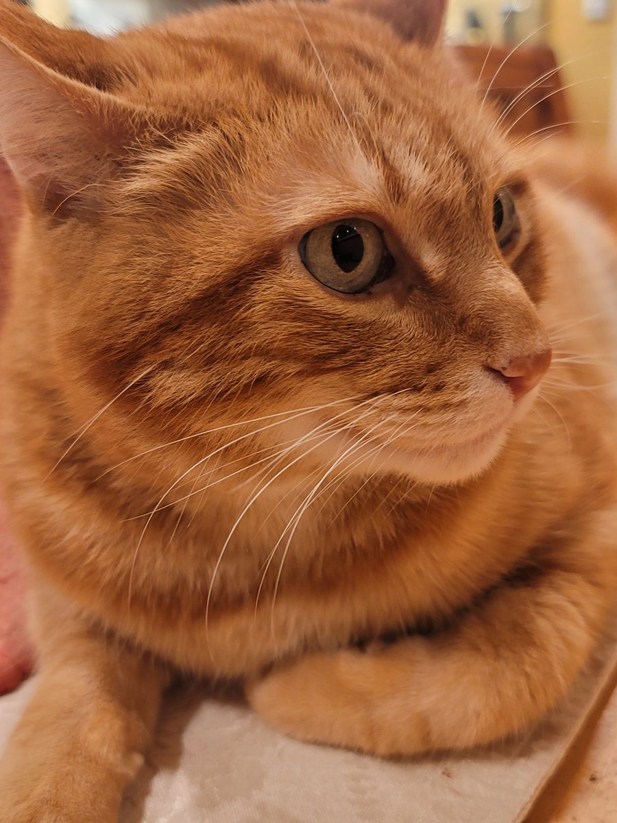 Franklin says:
            hi, I want to bite you