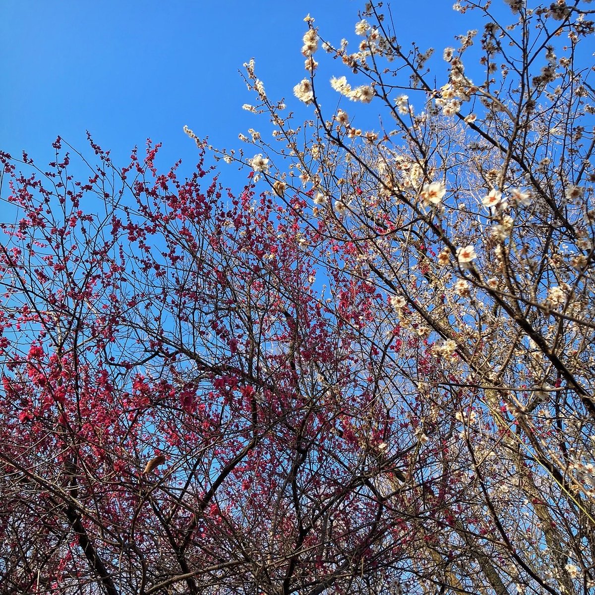 FlyingTOMBI's tweet photo. ２月のお言葉。。。🙏

自然と向き合う時間…
大切ですね…。 https://t.co/VD3DmdIvC7