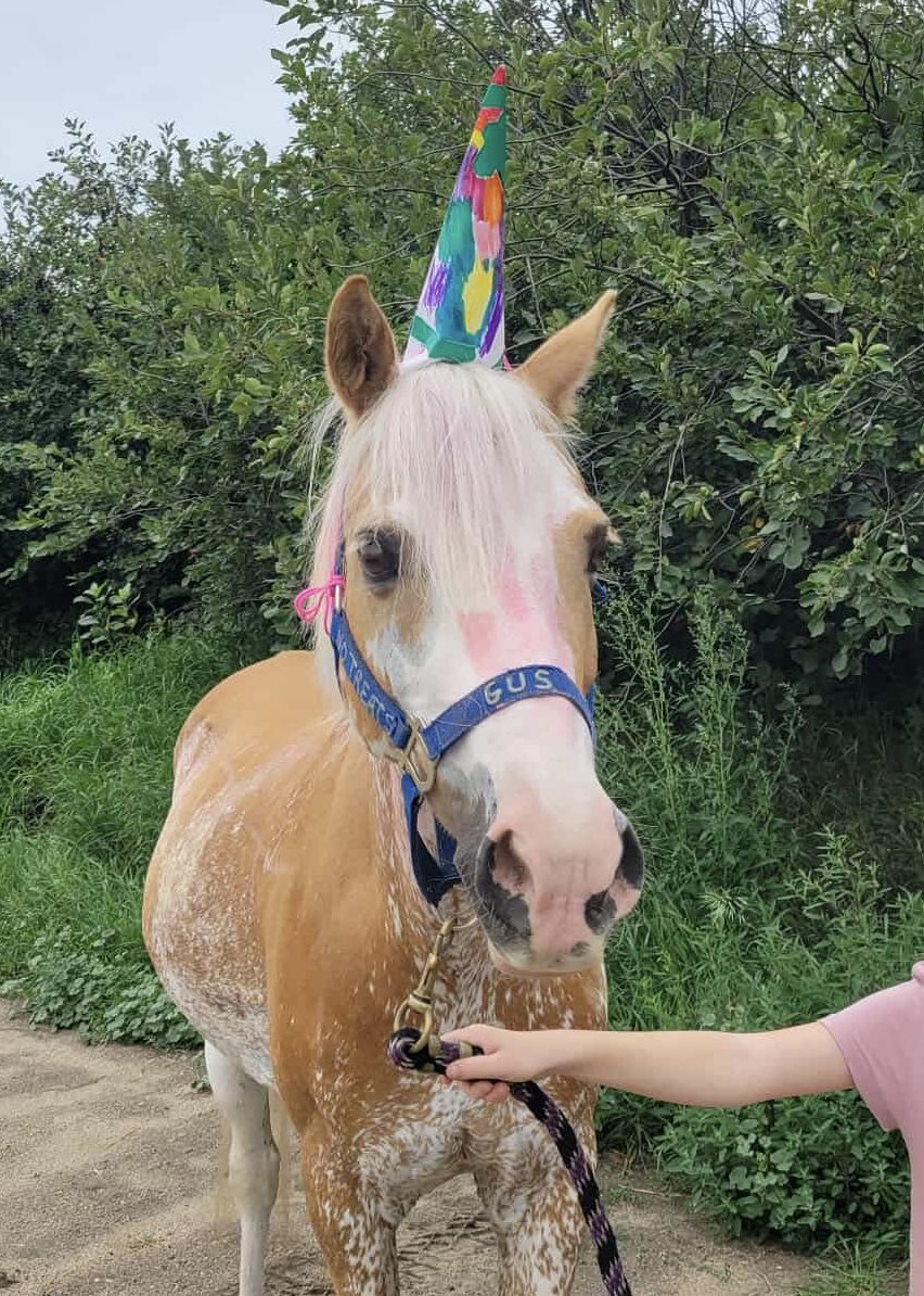 pelmacstables's tweet photo. We have 🏖️☀️ Summer Camp dates! 

🦄🐴 Single-day Rookie Riders camps: For children new to horses or with minimal experience, 5-9 years old.
•July 4 https://t.co/WQCKhIuaN4